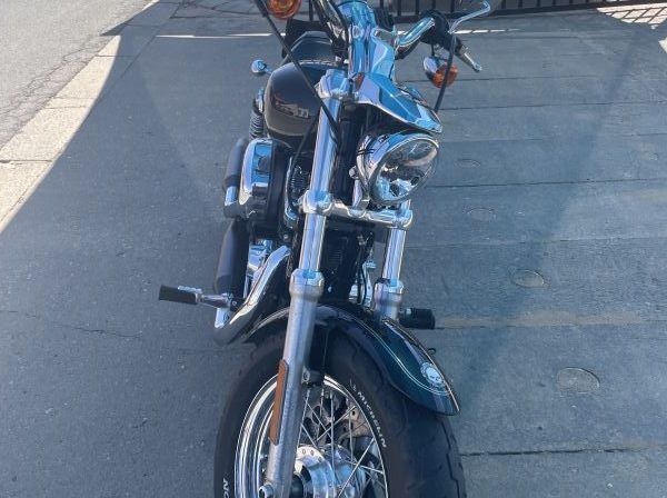 2017 Harley-Davidson Sportster 1200XL Custom pictures