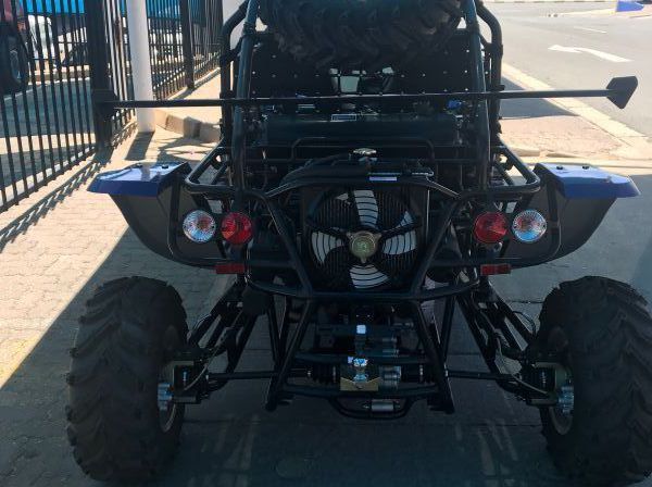 2018 Renli Buggy 500CC pictures