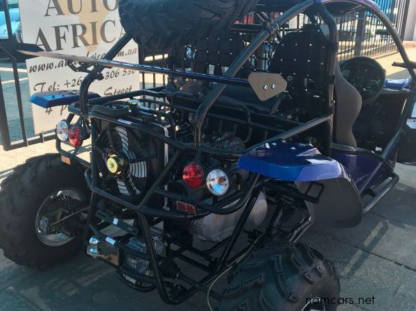2018 Renli Buggy 500CC pictures